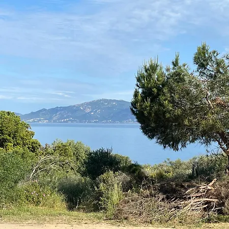 Loc A Machja Fiurita 3 - Et Ajaccio Apartment *