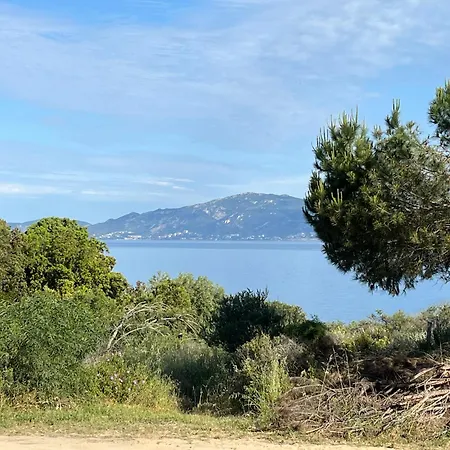 Loc A Machja Fiurita 3 - Et Ajaccio Pietrosella